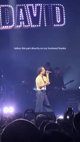 What did he put in this song? #damianodavid #maneskin #funnylittlefearsworltour2025 #barcelona #fyp 