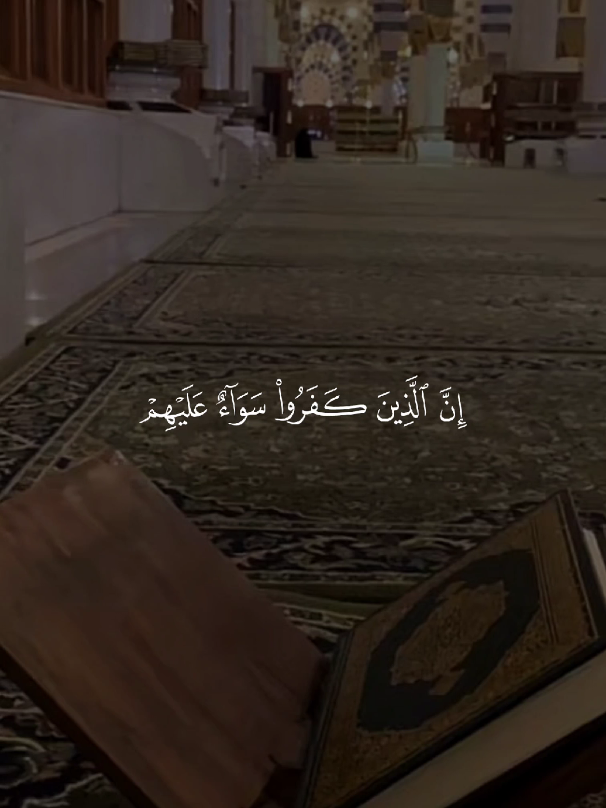 #قران #quran #قران_كريم #Allah #اللهم_صلي_على_نبينا_محمد 