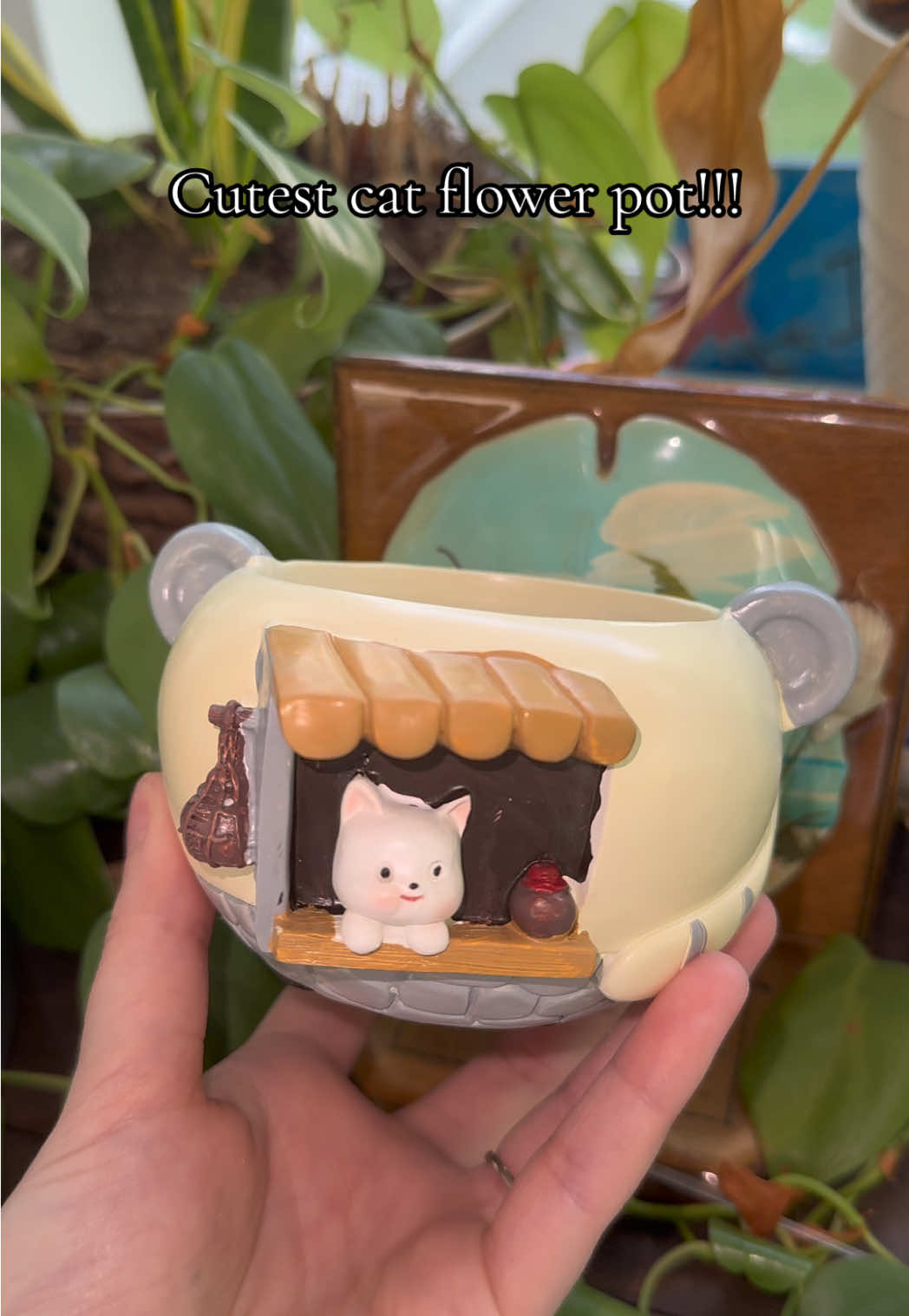Cutest flower pot ever!!! 🐱 🌼 #fyp #flowerpot #catsoftiktok #flowers #gardening 