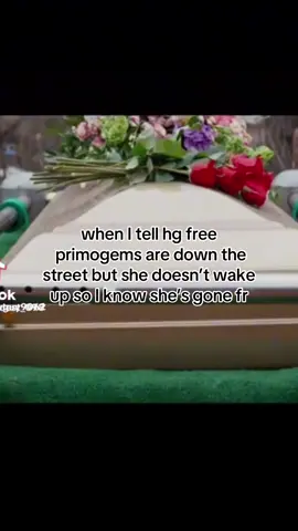 she gone gone #hoyocreators #genshininpact #genshin #HonkaiStarRail #hsr 