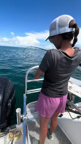 It’s HOGGY Time! #saltwaterfishing #hogfish 