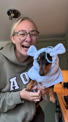 These might be the best things ever thanks so much @Sausage Dog Box #miniaturedachshund #dachshund #sausagedog 