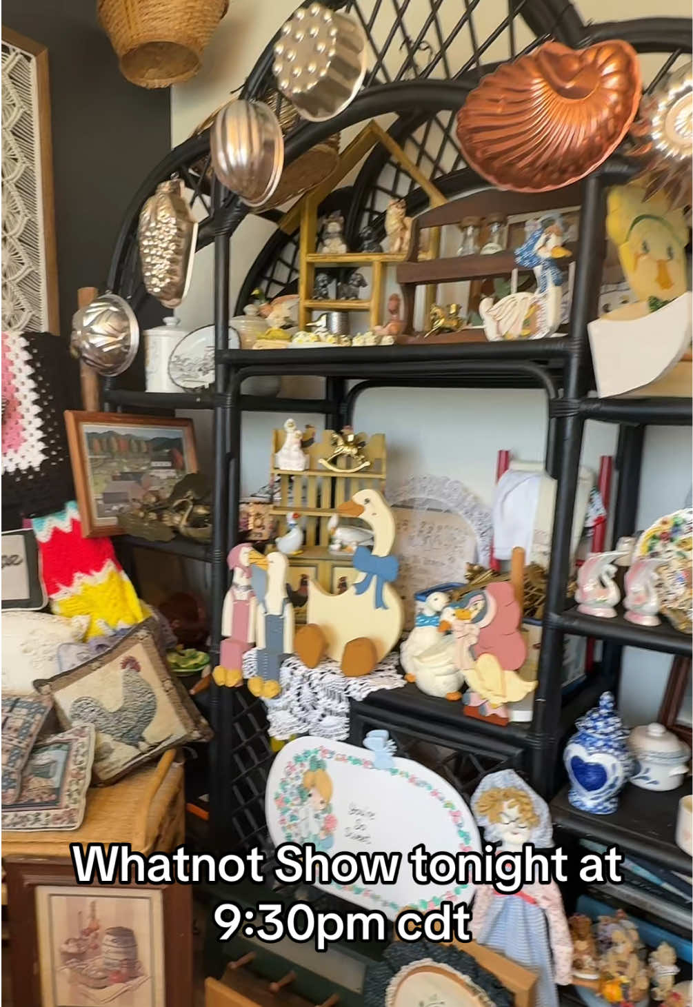 Go pin 💗🫶🏻🥹prebid or buy now ! #vintagevibes #vintagedecor #whatnot #fyp #goose 