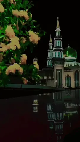 فجر يوم السبت ٢٧/٩/٢٠٢٥ 🌹🌸🤍🤲 ربي انها ساعة الفجر ففرج عنا كل ضيق ولا تحملنا ما لا نطيق يا ربي بحق هذا الاذان، اذان الفجر ارح كل من ضاقت عليه دنياه وذرفت بالدمع عيناه اللهم آمين 🤲 #دعاء #دعاء_يريح_القلوب #الشعب_الصيني_ماله_حل😂😂 #المغرب🇲🇦تونس🇹🇳الجزائر🇩🇿 #سوريا_تركيا_العراق_السعودية_الكويت  @♡♡ولاء♡♡ @نسائم الجنة | Quran @(إن الله مع الصابرين). @القران الكريم @أدعية وأذكار @ٱقۡرَأۡ @Yacine | ياسين @بنت الإسلام 🥀❤️💯 @(إن الله مع الصابرين). @القران الكريم @أدعية وأذكار  @♡♡ولاء♡♡ @نسائم الجنة | Quran @(إن الله مع الصابرين). @القران الكريم @أدعية وأذكار @🅜🅞🅗🅐🅝🅐🅓 @الطب البديل @الشيخ محمد @꧁☬𝑻𝒊𝒂𝒏𝒂☬꧂ @oday440000 @alquran.officiel.223 @200 Milliar De Dollar 🇨🇮🇮🇹 @Mostafa @القرأن حياة Quran is life @Amr ♻️❄️🧿 @JUBA BARDEERA @OM Zahreldin @سعد العتيق🍁 @قناة المجد للقرآن الكريم @آيـات قـرآنيـة @ألا بذكر الله تطمئن القلوب @OM Zahreldin @𝑨𝒃𝒅_𝒆𝒓𝒓𝒂𝒉𝒎𝒆𝒏 @❤️pro ❤️wa mammy📿🕋💫❤️ @راحة نفسية Raha Nafsia🤍 @راحـه نفـسية❤ @النـ❀⃟ـسرـين @لًيَطْمَئِنَّ قَلْبِي.