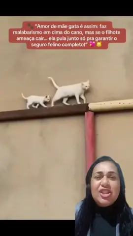 #fyp #pilarlourdes #paixaoporgatos 