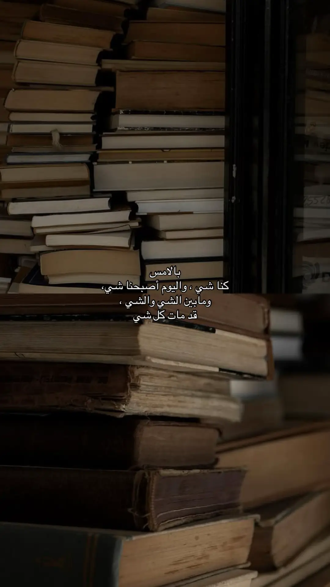 #explor #fyp #عبارات 