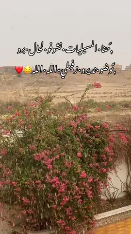 #مسيلة_بوسعادة_برج_سطيف_48ولاية❤ #مسيلة_بوسعادة_برج_سطيف_48ولاية❤ #شعب_الصيني_ماله_حل😂😂 #حسبي_الله_ونعم_الوكيل_💔💔💔😢😢😢 