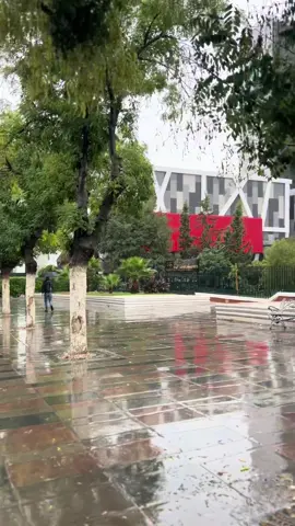 😍🌧️#setif______19 #hmdlh_ya_rabiii😍❤️ #WheneverWherever #creatorsearchinsights 