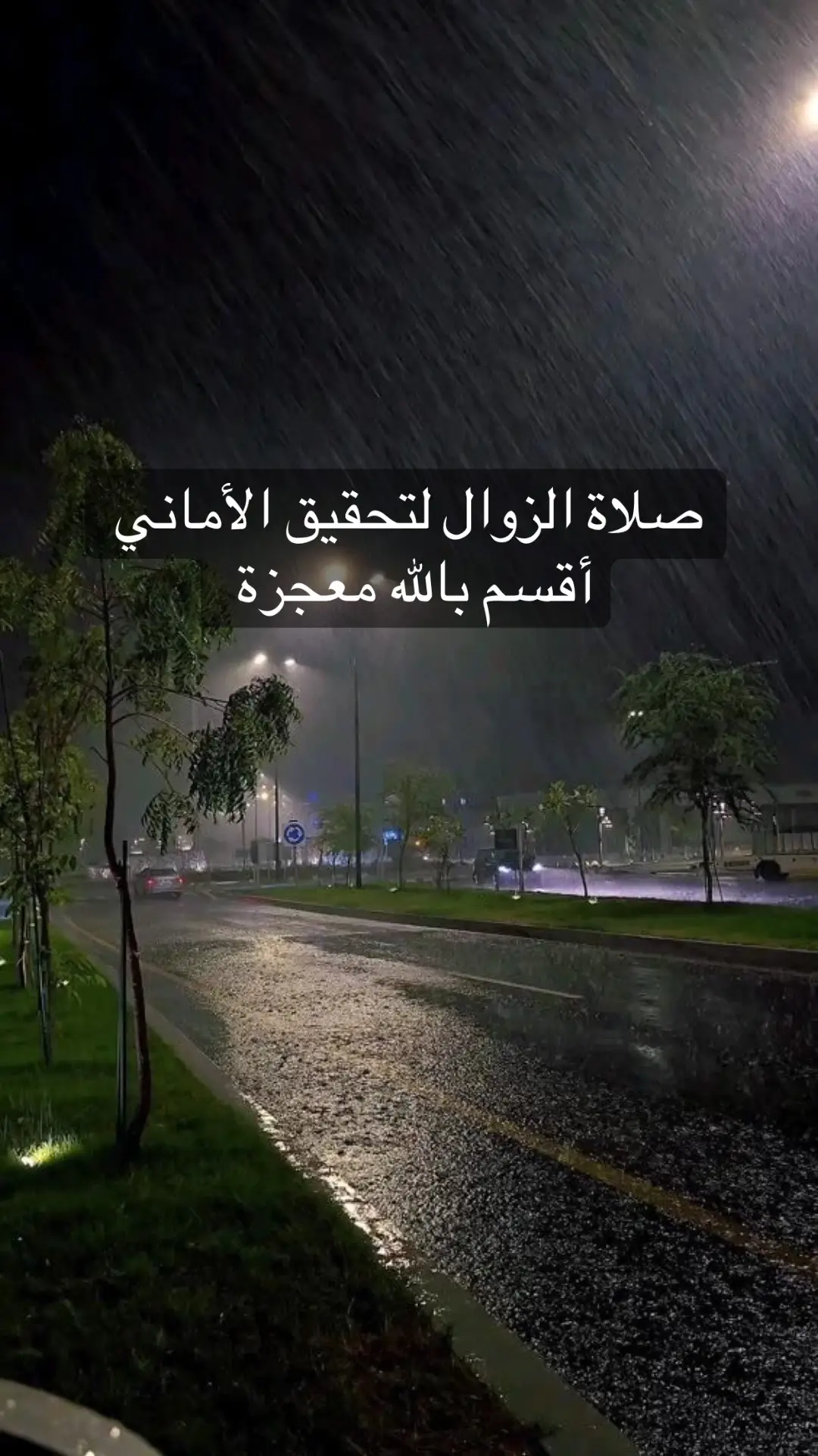 #صلاة_الزوال #alhamdulillah #قران_كريم #quran #fyp 