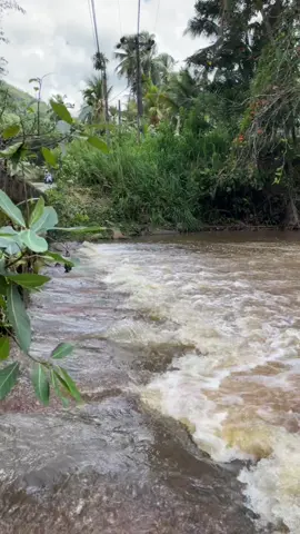 Attanagalla oya bridge in karasnagala🫶 #travel #video #fyp #srilanka 