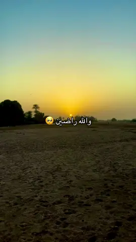 #الشعب_الصيني_ماله_حل 