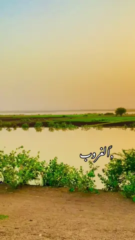 #مجرد________ذووووووق🎶🎵💞 #مشاهير_تيك_توك_مشاهير_العرب 