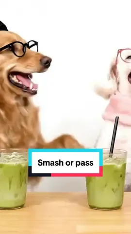 A little short one for you guys☺️ we’re testing out different durations of videos guys since most of our audience only tend to watch only 30% of the full video 😪😪 so let us know if you like the longer ones or if we should keep them short and sweet for you guys, love you all!!🩷🥰 #dogtok #doghumor #dogpodcast #dogsoftiktok #barkafterdark 