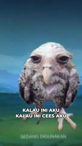 menyala cees #jjboxing🥊 #jjboxingmedan🥊 #jjboxing 