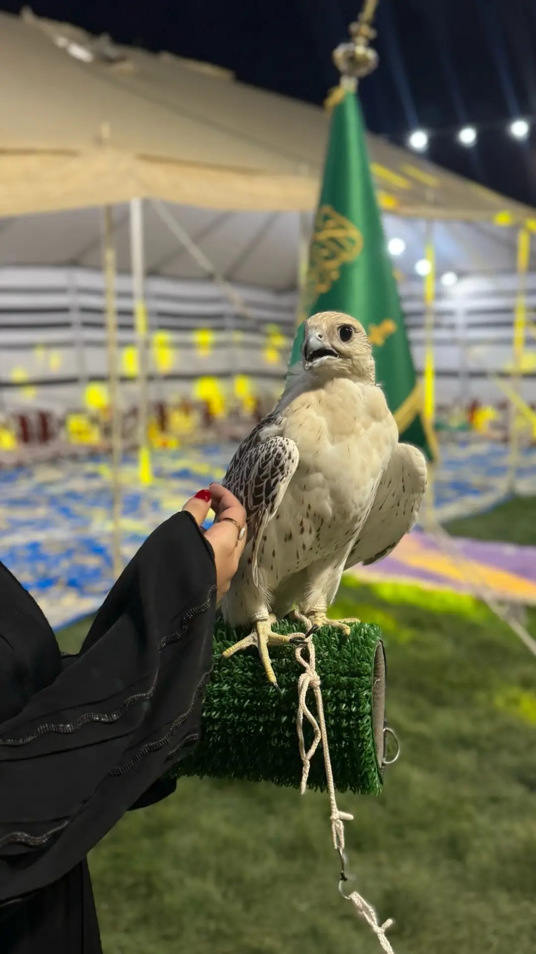 ‏لأن ذوقي غير وفوق المستوى ‏يوم أحب أحب شيءٍ ماله مثيل  #اكسبلورexplore #العضيان #تصويري #عتيبة #عفيف #الدوادمي #اكسبلوررررررر 