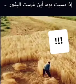 #مساء_الحب_والسعاده_متابعيني💕 #الشعب_الصيني_ماله_حل😂😂 #ترند #مشاهدات #لايكات 