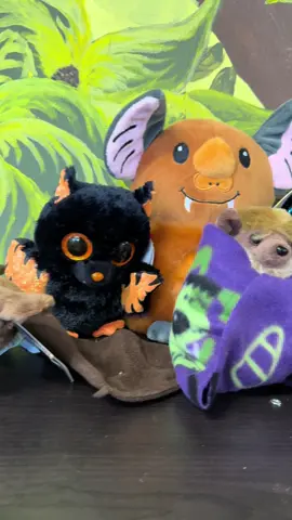 Our online Gift Shop will be temporarily closing on 10/4 ‼️ Don’t worry, it will be reopening later this year. Support bats and find lots of batty goods on our site or at the “Shop” 🔗 in our bi0! 🦇 ❤️ #animals #bats #cute #fypシ #plushies 