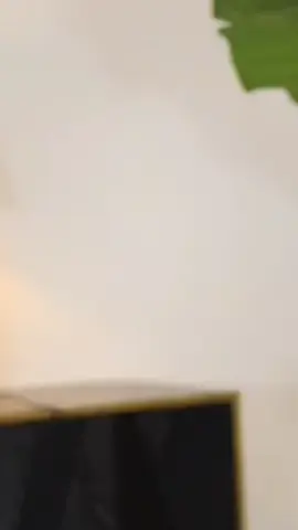 c’est ce qui plus important #conseil #france #paris #karamoo  #LIVEIncentiveProgram #LIVEStory #PaidPartnership 