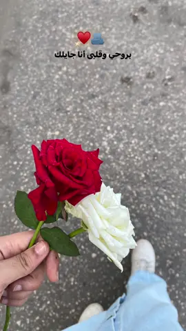 ♥️♥️♥️♥️♥️♥️♥️🫂🫶🏻