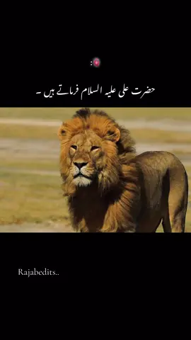 Hazrat ALi(As) farmate Hein❤️#unfreezemyaccount #dontunderreviewmyvideo #trending #growmyaccount #foryou 