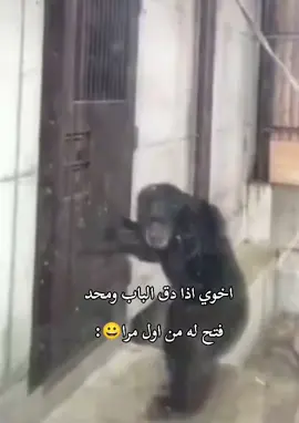 #ضحك_طقطقه_فله_وناسه #شعب_الصيني_ماله_حل😂😂 #fyppppppppppppppppppppppp 