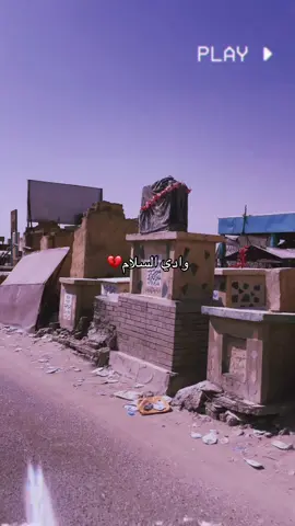 #النجف_الأشرف #الشعب_الصيني_ماله_حل😂😂 #مصمم_فيديوهات🎬🎵 #تيك_توك_ #نص_الي_كلام 