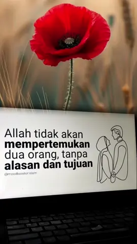 #catlover #requeslagu #radiotiktok #abahkoeradio #fyppppppppppppppppppppp 