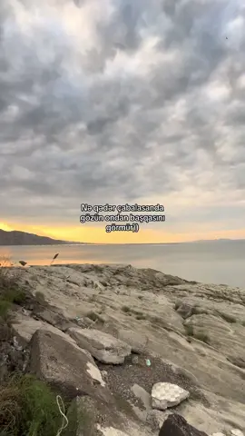 😶#repostluqvideolar #qruz #arxafonvideolar 