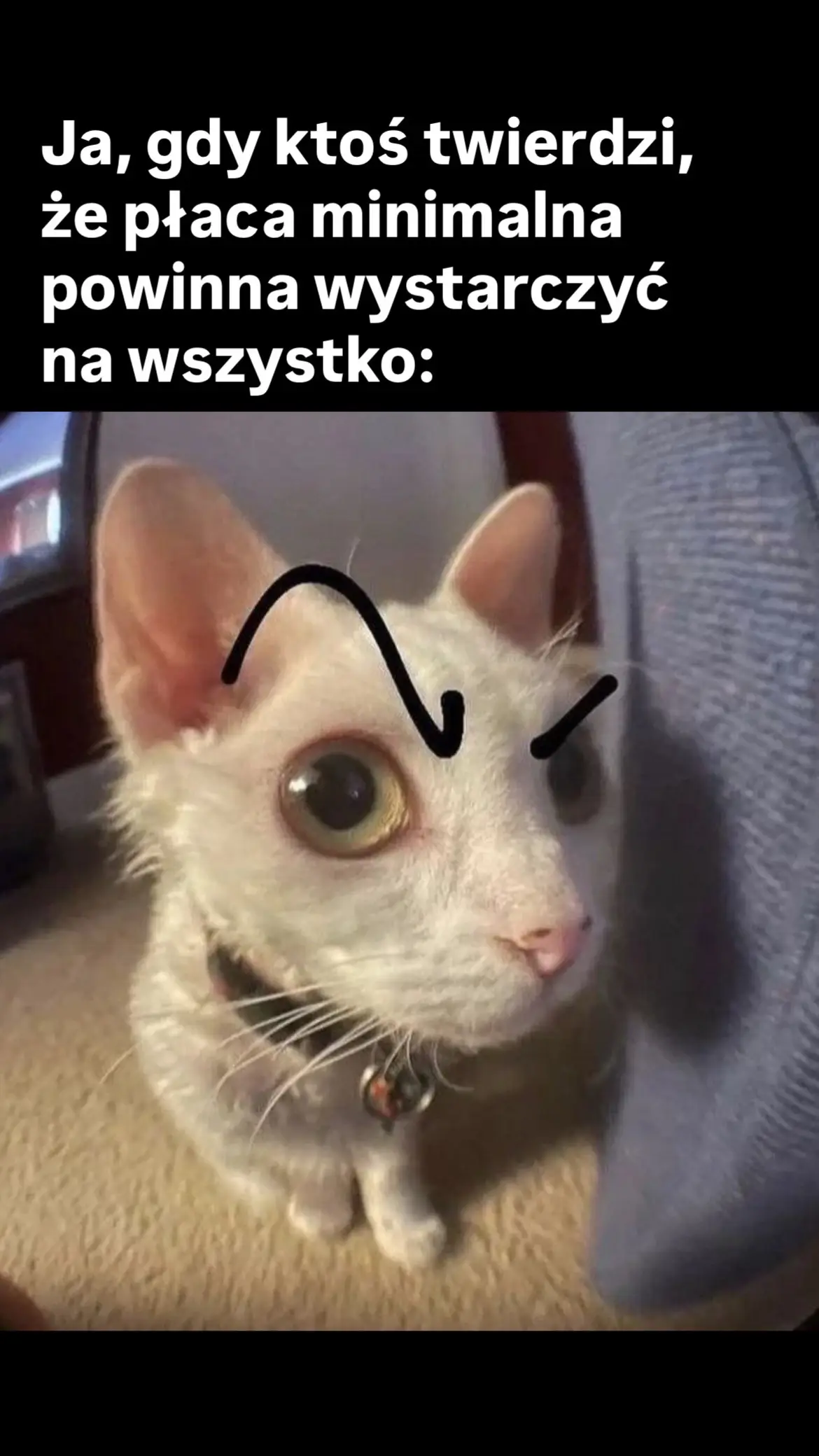 #najnizszakrajowa #wyplata #utrzymanie #praca #kasa 