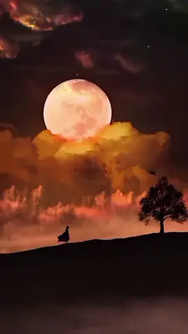 #عاين_لربك_بس_الله_يعرف_بهمومك💔عاين_لربك#😔لاتلوم_الملجوم💔حسرات_تقتل_القلب_قتلــ💔ــــہہہـ٨ـــــــہ #تعب_وجع_ألم_ندم_وعذاب_للروح😔💔ــــ💔ــــہہہـ٨ـــــــہ#شعراء_وذواقين_الشعر_الشعبي🎸_شعر_حزين_وجع_مگتوم 