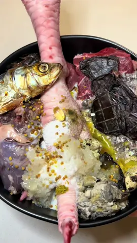 Throw back to one of Remi’s favorite meals- turkey foot. #throwback #rawfeddog #rawdietfordogs #rawfeeding #rawfoodfordogs 