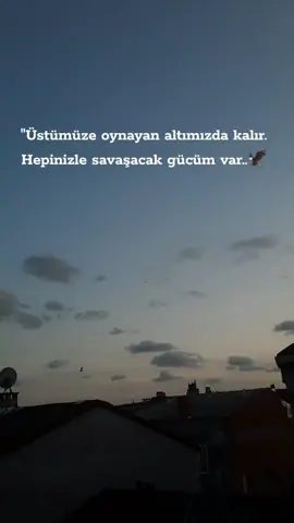 #keşfet #keşfetteyizzz #sedatpekermedya #birumutturyaşamak #sedatpekerr 