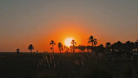 #تصويري #غيث_صباح 