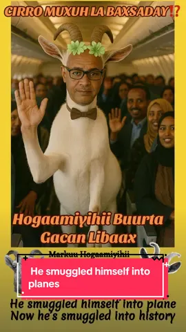 #Somaliland #Hargeysa #Berbera #Burco #SomalilandTikTok     