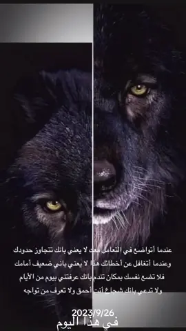 هذا اليوم هذا اليوم #في هذا اليوم #wolf #last_wolf #اكسبلور #اكسبلورexplore 