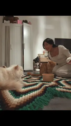 j’peux en placer une ? 