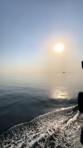 أنا إنسان جيت الدنيا مش بخاطري لكن جيت  @رضا البحراوي  #رضا_البحراوي #اكسبلور #بحر #vip #tiktok 