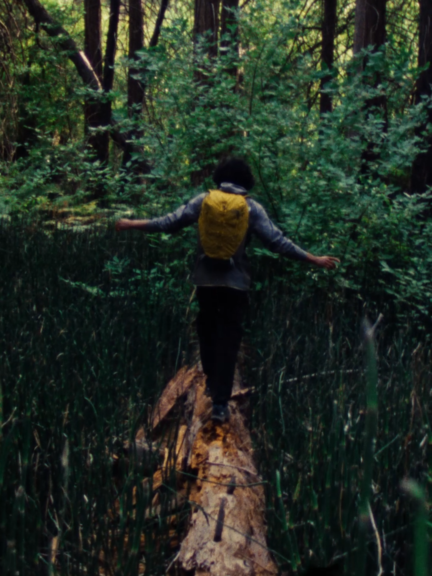 Nature isn’t a place we go, it’s what we’re made of. In a world full of digital distractions, it's easy to forget how it feels for the wind to move us. But when we step outside, we remember who we are and return back home to ourselves. That’s the Power of Nature.