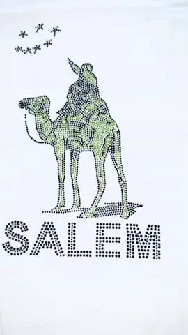 SALEM Rhinestone Silk Road T-Shirt from @bootmerch 🐪 #salem #shlohmo #silkroad #s4lem #merch 