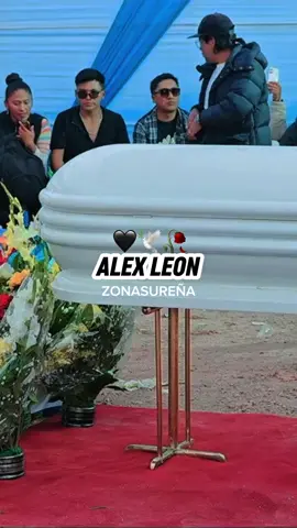 Luz Viviana se despide de esta manera de (Alex Leon 🕊️) #juliaca #luzviviana #alexleon #🕊️ 