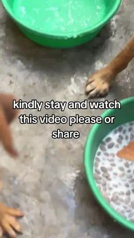 link.in bio to donate please 