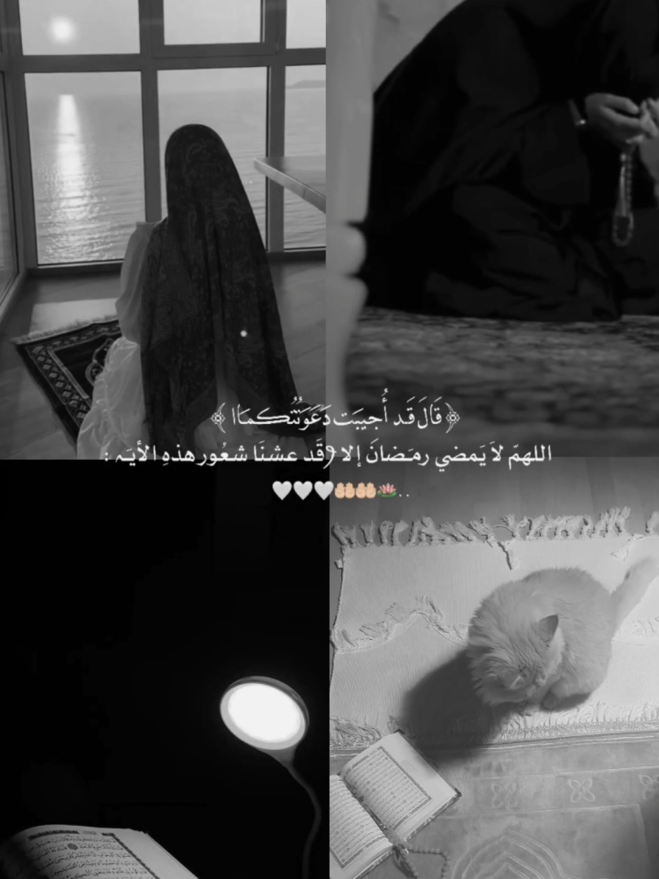 #قُل_لَّآ_أَملِكُ_لِنَفسِى_ضَرَّاً_آونَفعاً #إِلَّآ_مَاشَآءَٱللَّهُ #لِكُلِّ_أُمَّةٍ_أَجَلُ_إِذَا_جَآءَ_أَجَلُهُم_فَلَا  #يَستَخِرُونَ_سَاعَةً_وَلَآ_يَستَقدِ_مُونَ ❤️‍🩹