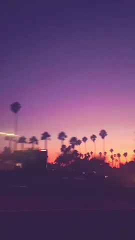 the nostalgia is crazy #losangeles #2016 #musically #fyp #viral 