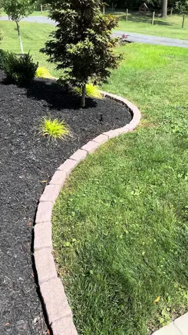 Show us a simpler way to achieve this landscape look, we'll wait. 🍂 It genuinely doesn't get easier than this plus Beuta always has FREE shipping. And right now all orders are 15% off — only for a limited time! #diylandscaping #backyarddiy #landscapeedging #gardenedging #gardendesign      