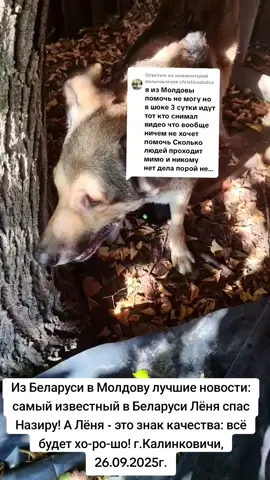 Ответ пользователю @christinadudca 
