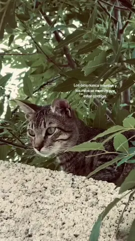 #LIVEIncentiveProgram #SideHustleLIVE #PaidPartnership 