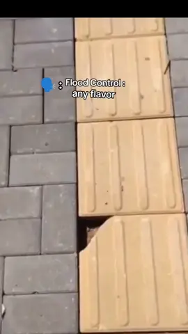 #LIVEIncentiveProgram #LIVEwithlowfollowers #PaidPartnership 