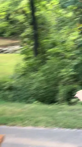 Always feels good to pure a shot like this 🥹 #discgolf #discgolfdaily #discgolfgirls #fyp 