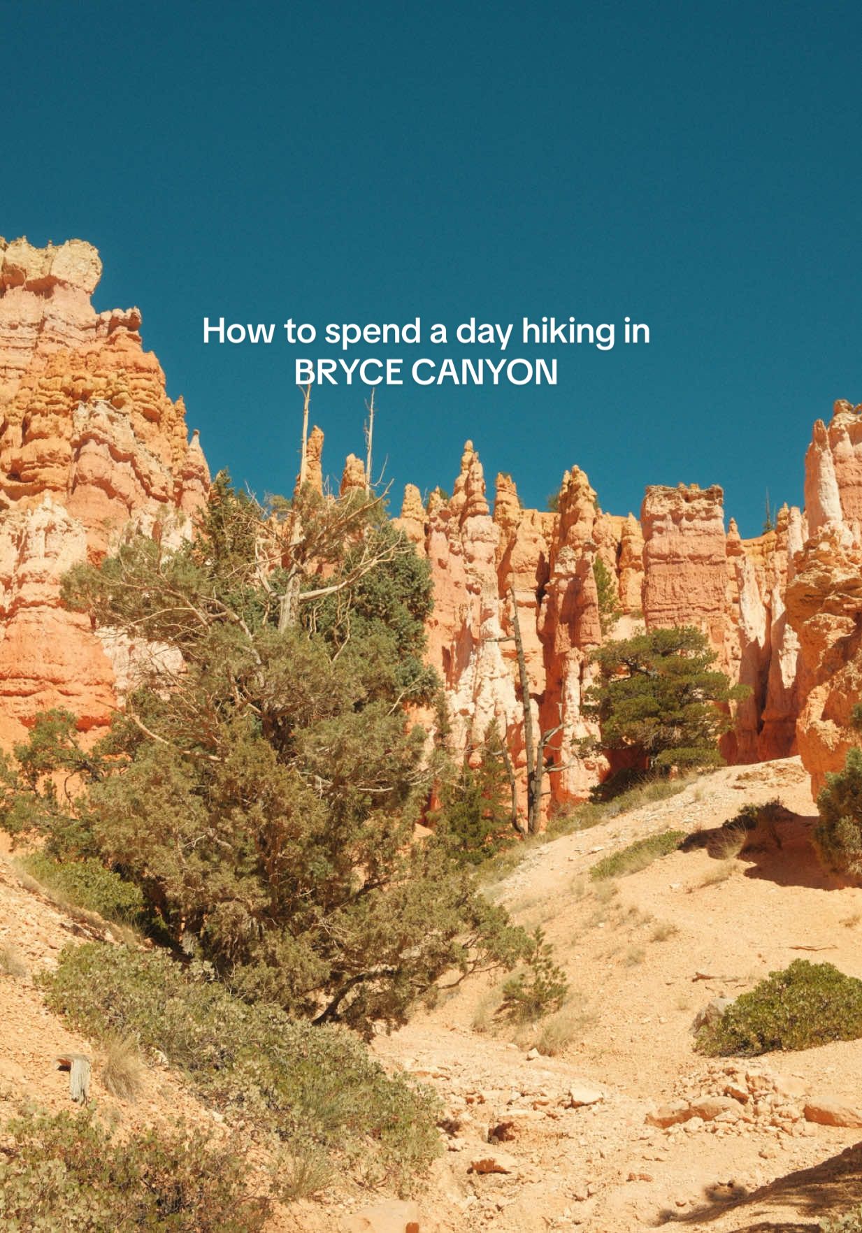 Had the absolute best time hiking the Navajo loop to queens garden! Couldn’t recommend more. If you’re looking for a quick and easy hike Mossy Cave is for you! 🥾 #brycecanyonnationalpark #navajolooptrail #activelifestyle #granolagirl 