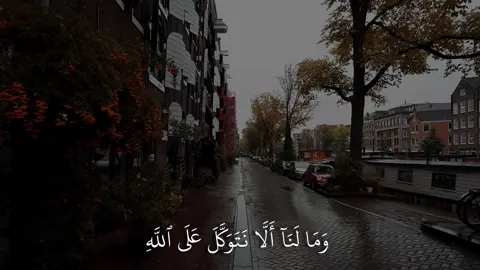 ﴿وَما لَنا أَلّا نَتَوَكَّلَ عَلَى اللَّهِ وَقَد هَدانا سُبُلَنا﴾ [إبراهيم: ١٢]#ياسر_الدوسرى #سورة_إبراهيم #اكتب_شي_توجر_عليه 